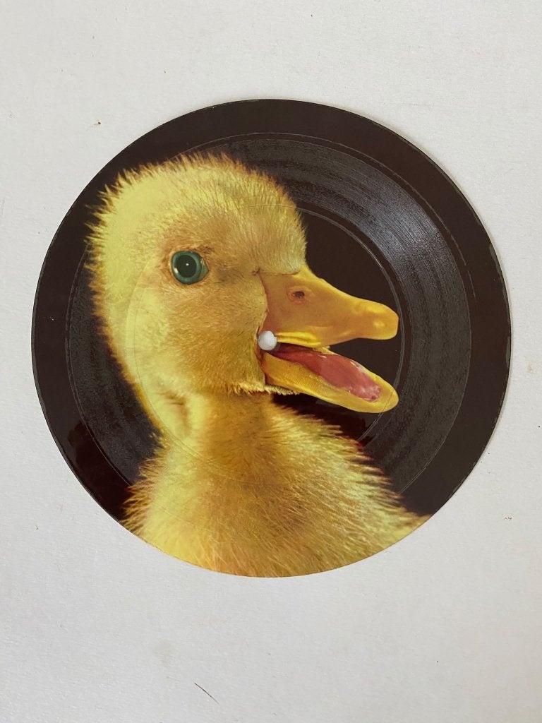 Ronnie Potsdammer, Heleen van Meurs – Het Lelijke Eendje, Overige genres, 7 inch, Ophalen of Verzenden, Zo goed als nieuw