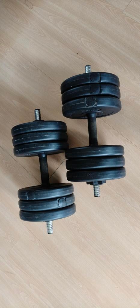 Verstelbare Halterset - Krachttraining 15,7kg per stuk, Ophalen, Gebruikt, Rug, Halterset
