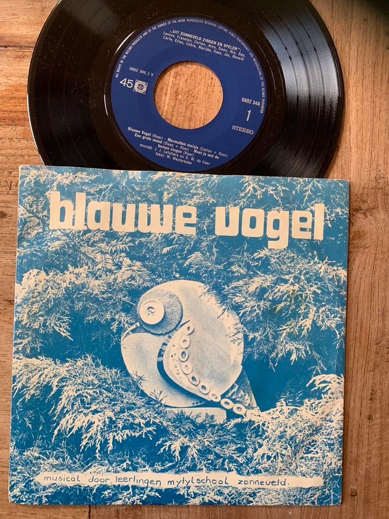 Piraten Musical Mytylschool Zonneveld Blauwe Vogel single, Ophalen of Verzenden, Gebruikt