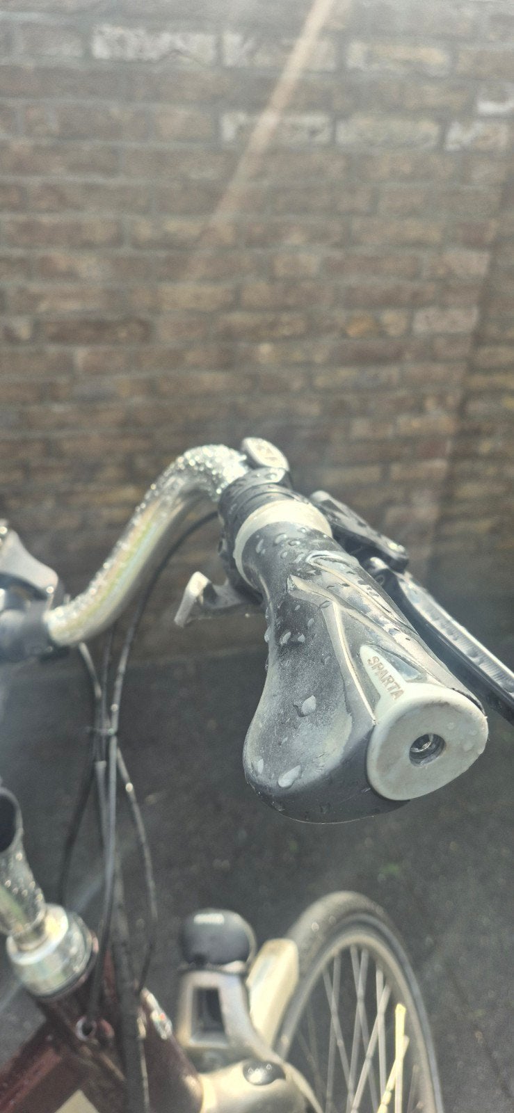 Sparta ION Dames E-bike met fietstassen, Ophalen of Verzenden