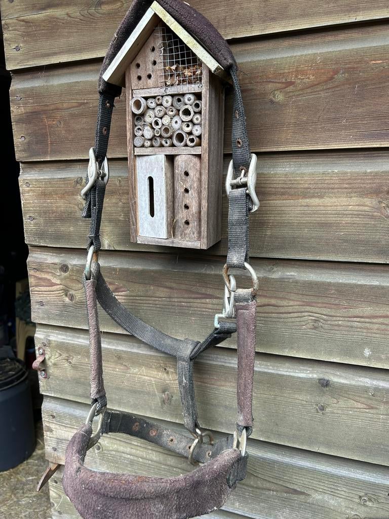 Premium halster paard full, Ophalen of Verzenden, Gebruikt, Overige soorten