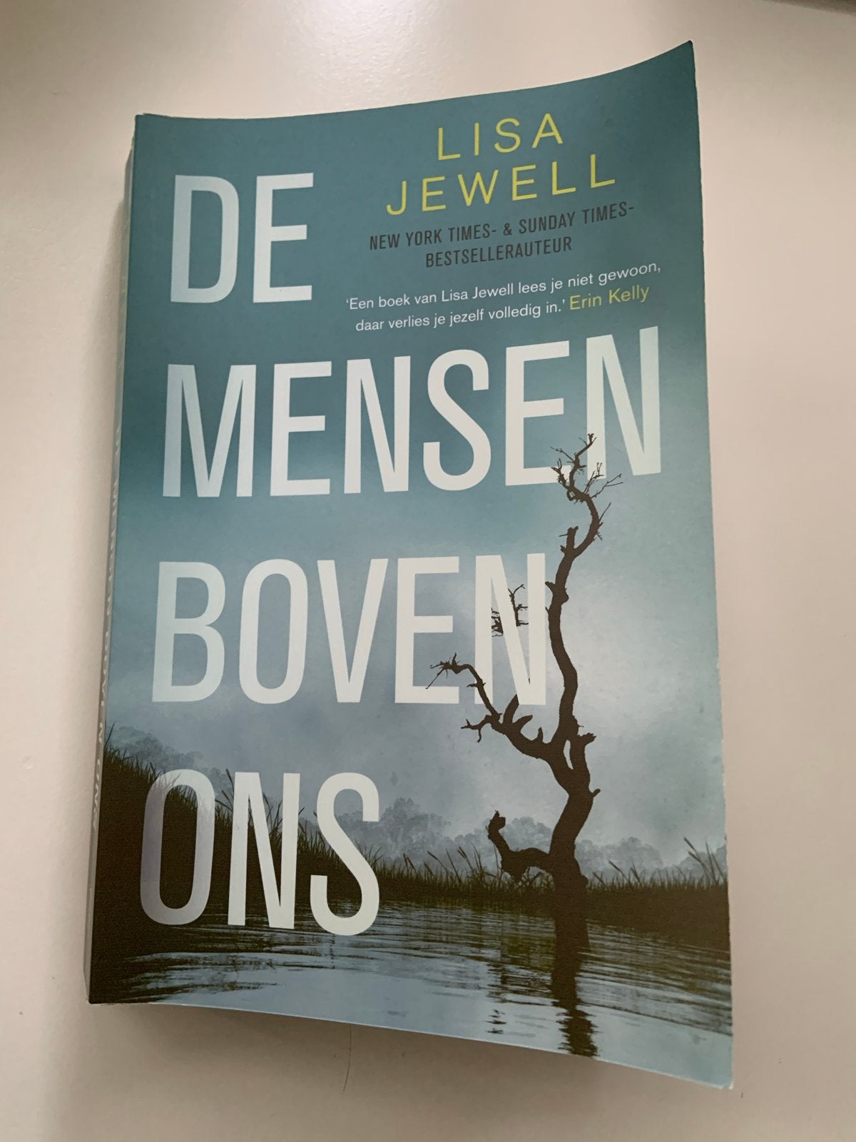 De Mensen Boven Ons - Lisa Jewell (Thriller), Ophalen of Verzenden, Zo goed als nieuw, Europa overig