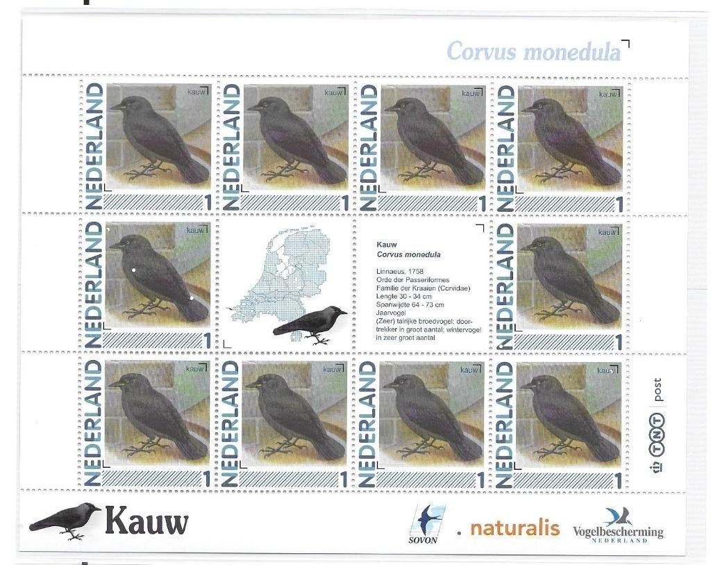 Vel persoonlijke zegels, Vogels Kauw, postfris, Ophalen of Verzenden, Postfris