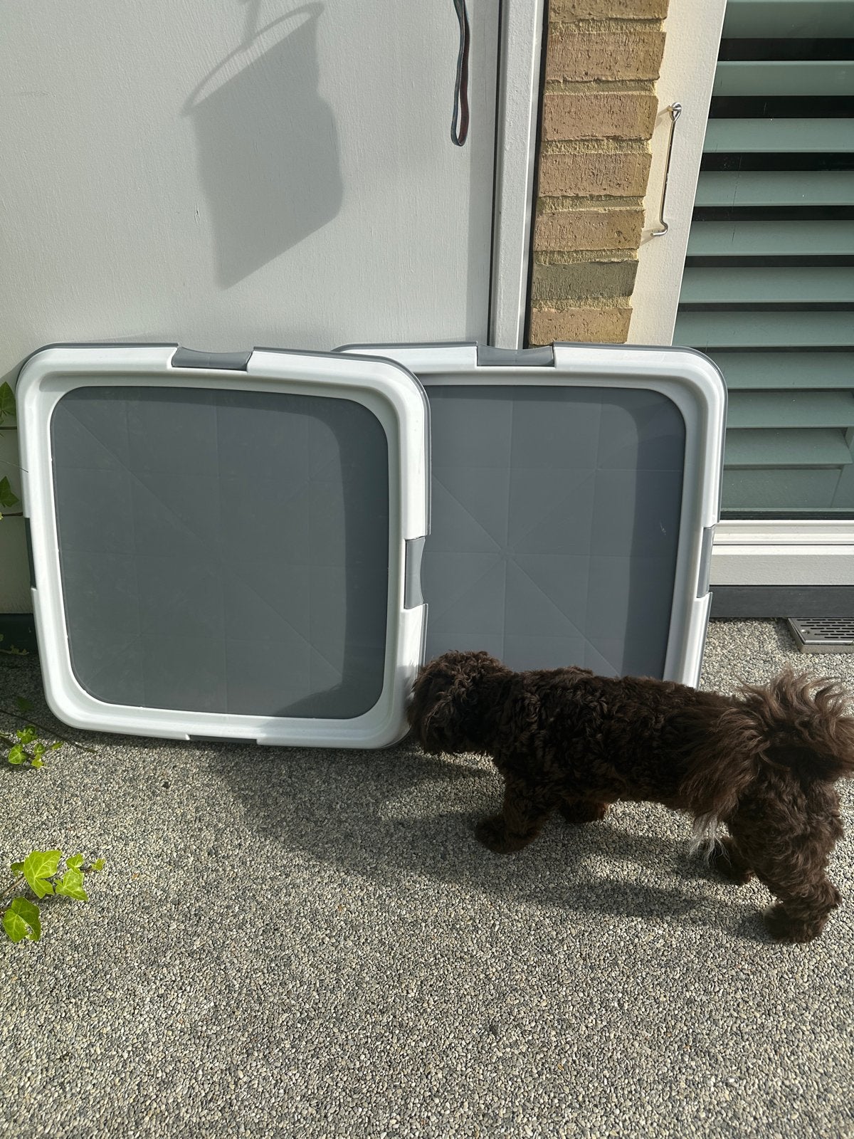 Trainingsmat houder puppy, Ophalen, Nieuw