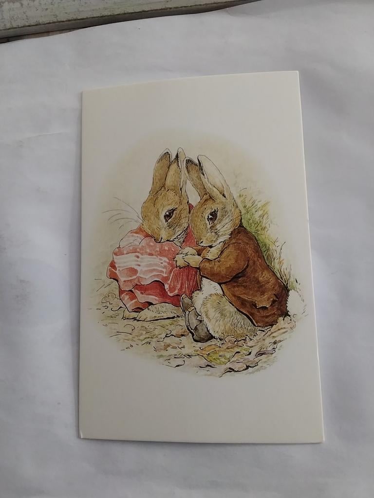 BEATRIX POTTER. FROM THE TALE OF BENJAMIN BUNNY. 1904, Ophalen of Verzenden, Voor 1920, Overige thema's