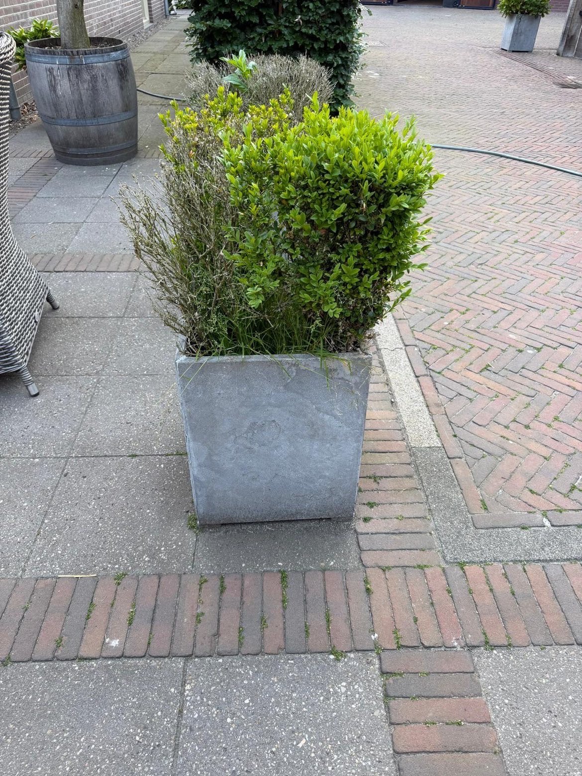 buxus met bloembakken, Ophalen, Kunststof, Minder dan 30 cm, Rond
