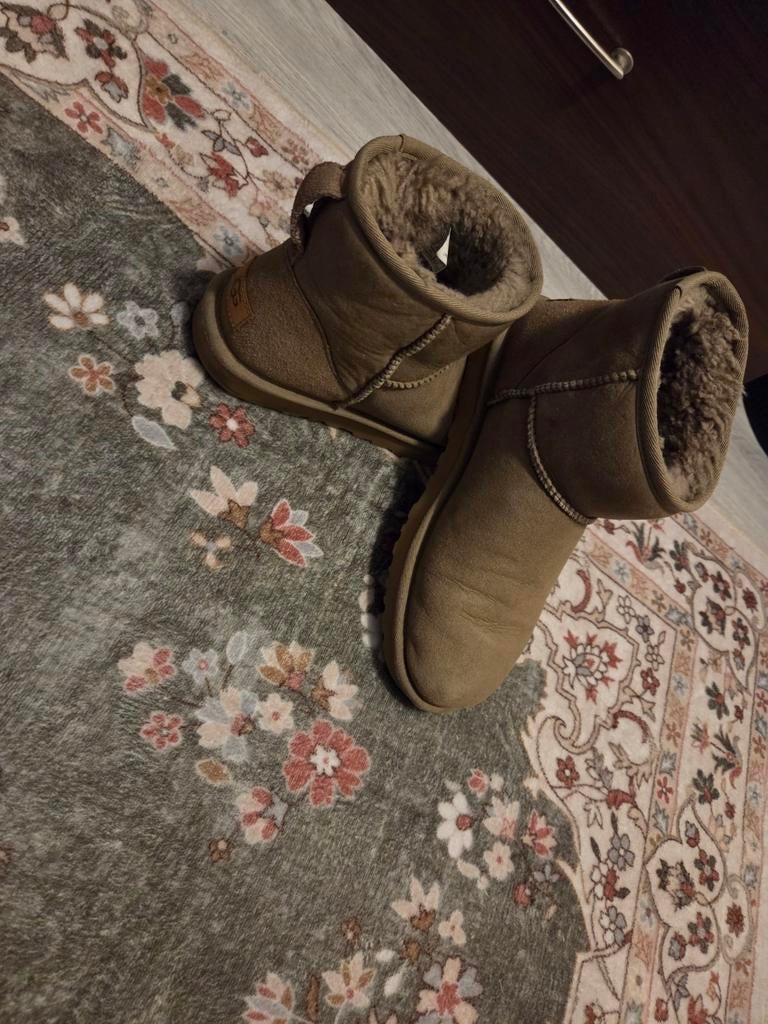 Ugg boots Classic Mini, Ophalen, Gedragen, Bruin