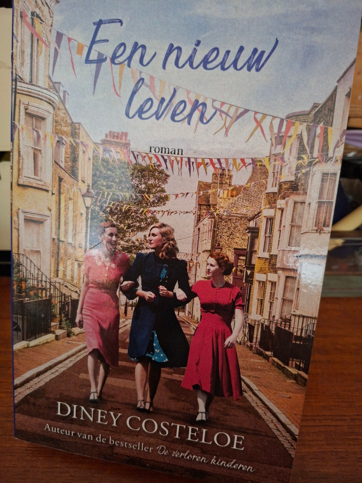 een nieuw leven diney costeloe roman, Boeken, Verzenden, Zo goed als nieuw