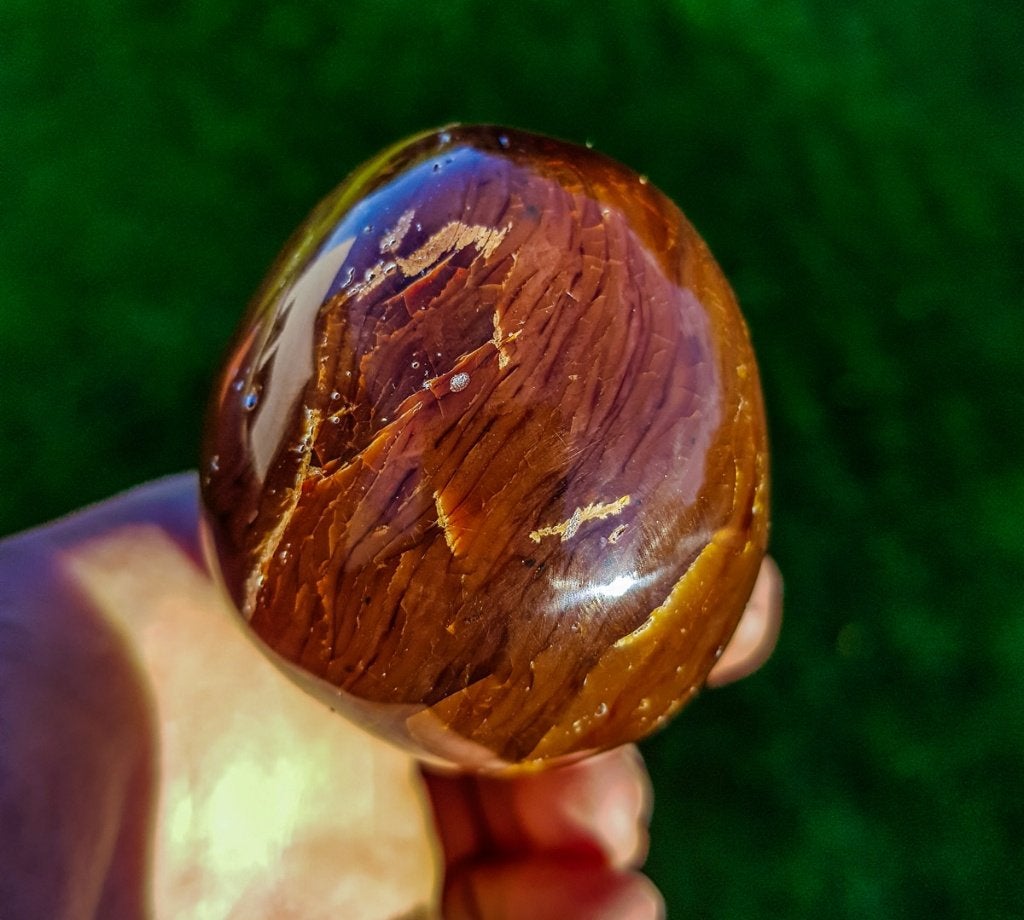 Gold amber uit indenesie, Ophalen of Verzenden, Fossiel