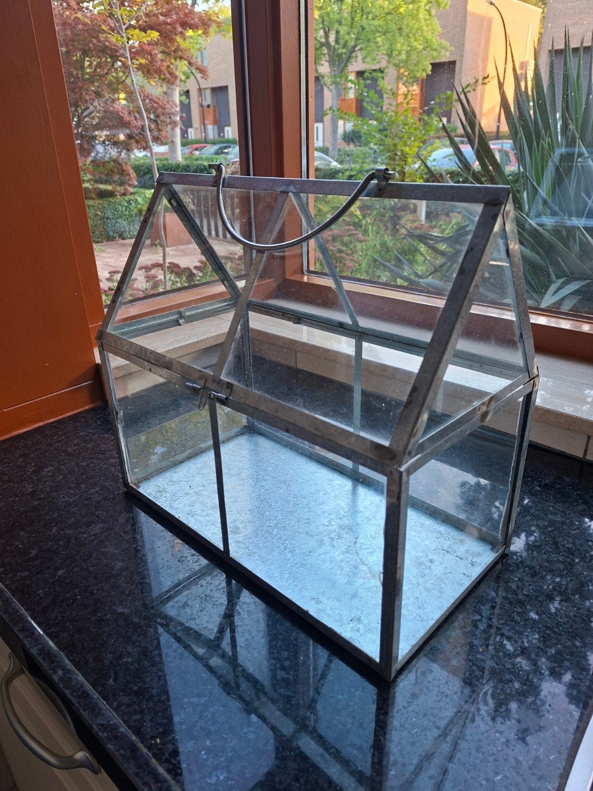 Kweekkastje van glas en metaal - 38x20x34cm, Ophalen, Zo goed als nieuw, Kweekkast