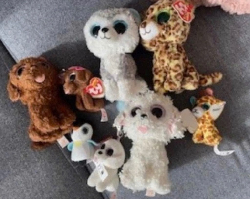 Meerdere Ty beanie boo knuffels, Ophalen, Zo goed als nieuw, Overige typen, Ty
