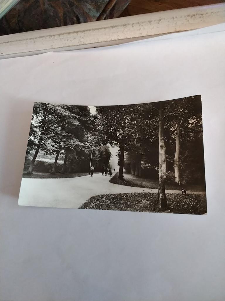 LOOSDUINEN (DEN HAAG) JEUGDHERBERG "OCKENBURGH", Ophalen of Verzenden, 1940 tot 1960, Zuid-Holland