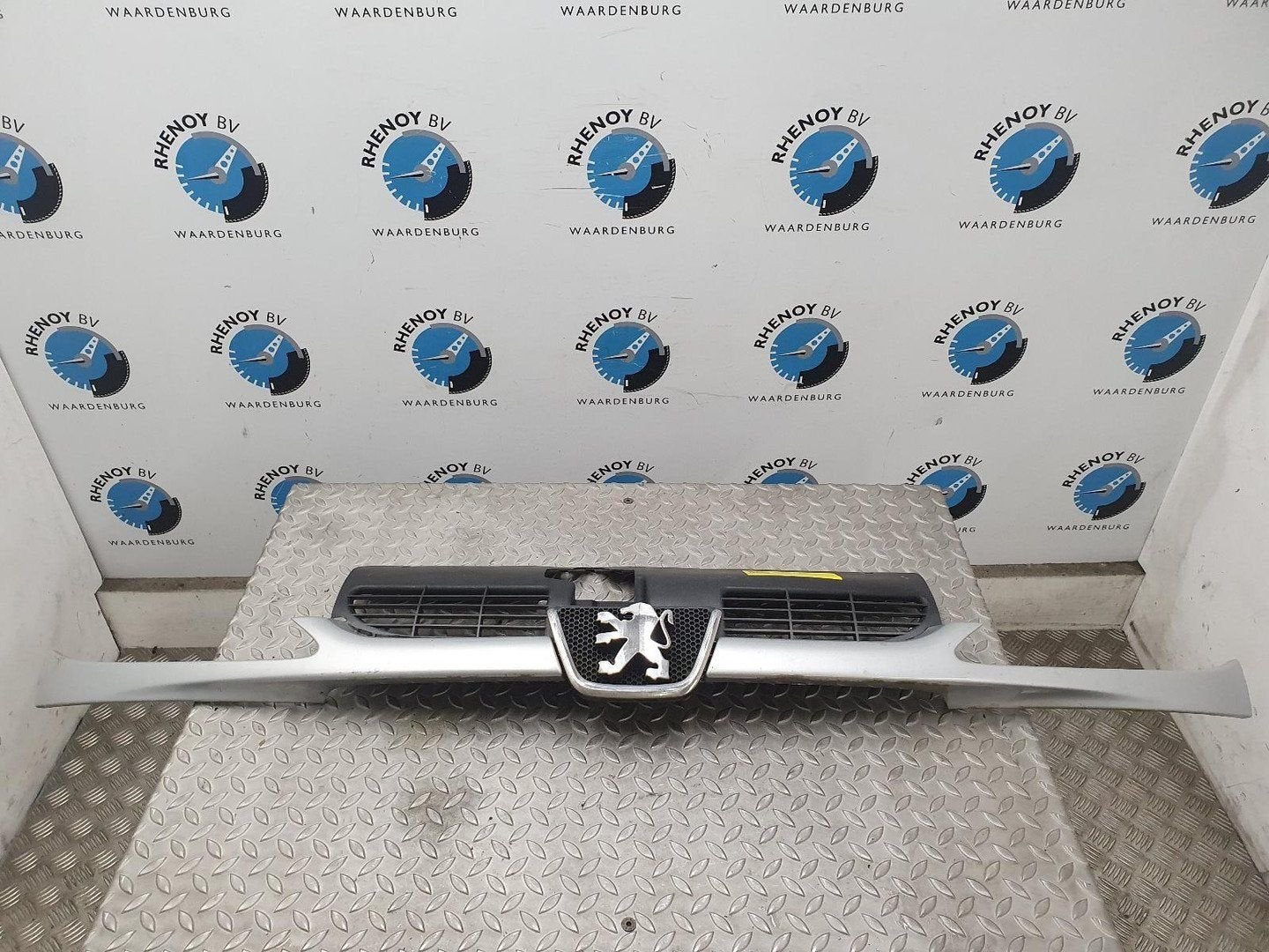 PEUGEOT 206 2.0 HDi Quiksilver  GRILLE 2005, Ophalen of Verzenden, Gebruikt, Stiba lid