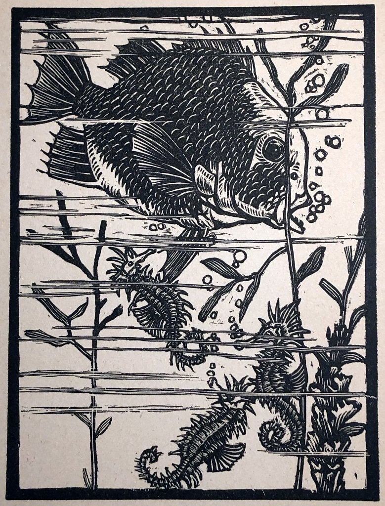Richard Kannenberg (1888-XX) Houtsnede 'Zeepaardjes en vis', Ophalen of Verzenden