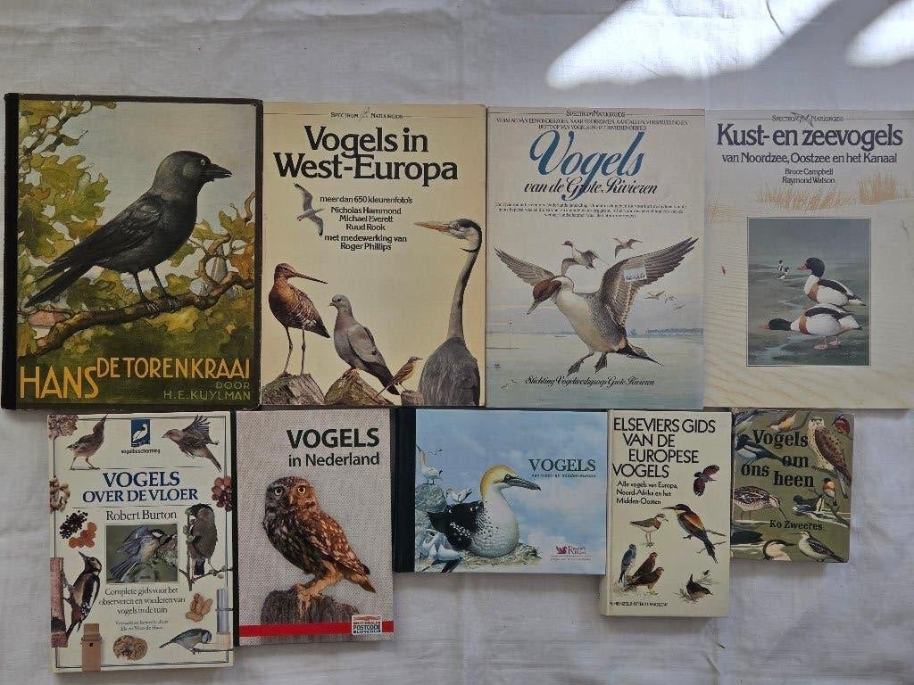 Vogels: voorkomen,herkennen, determineren, leefwijze, tabel, Ophalen of Verzenden, Gelezen, Vogels