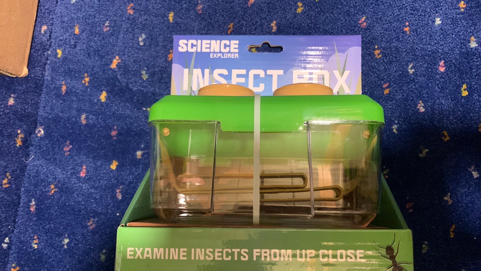 Insecten box, Ophalen of Verzenden, Nieuw