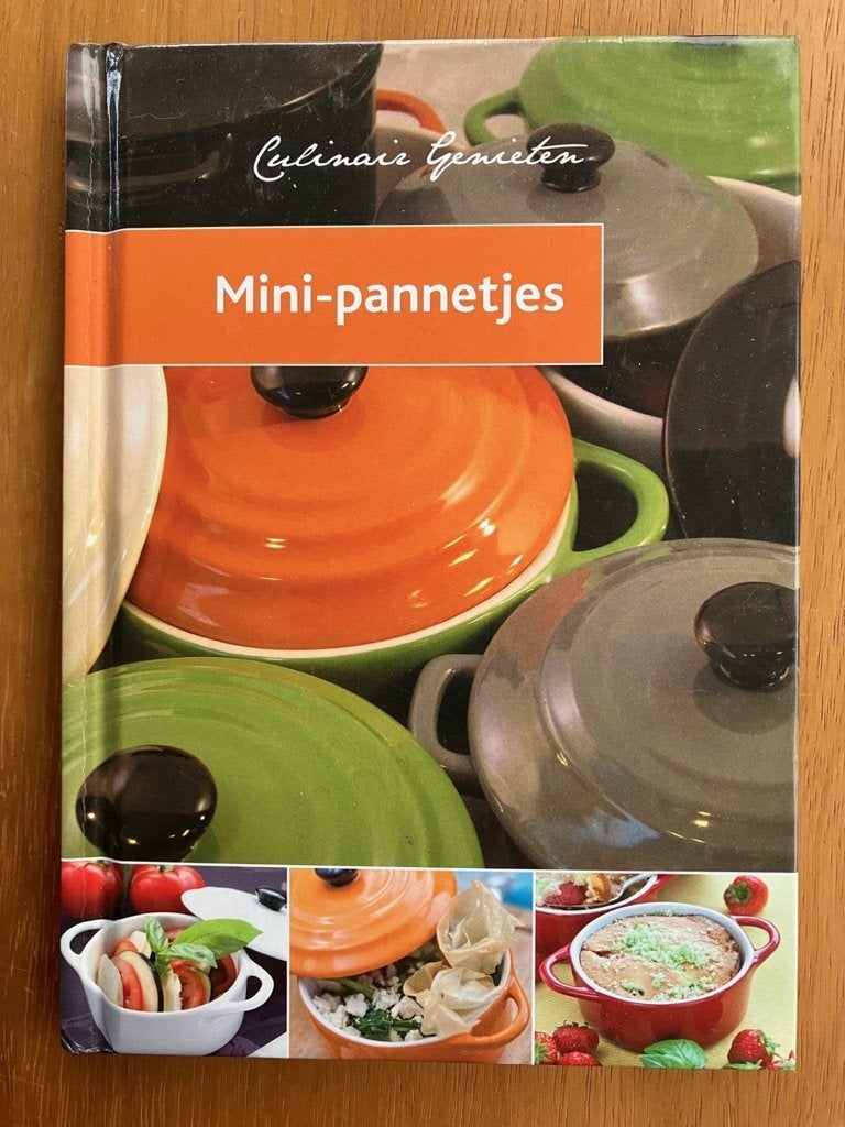 Mini-pannetjes - Leonie van Mierlo, Verzenden, Gelezen