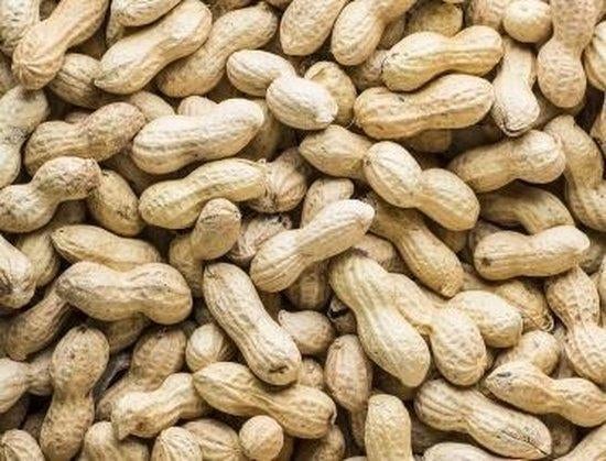 10kg doppinda's voor de buitenvogels en eekhoorns, Dieren en Toebehoren, Dierenvoeding, Ophalen of Verzenden, Vogel