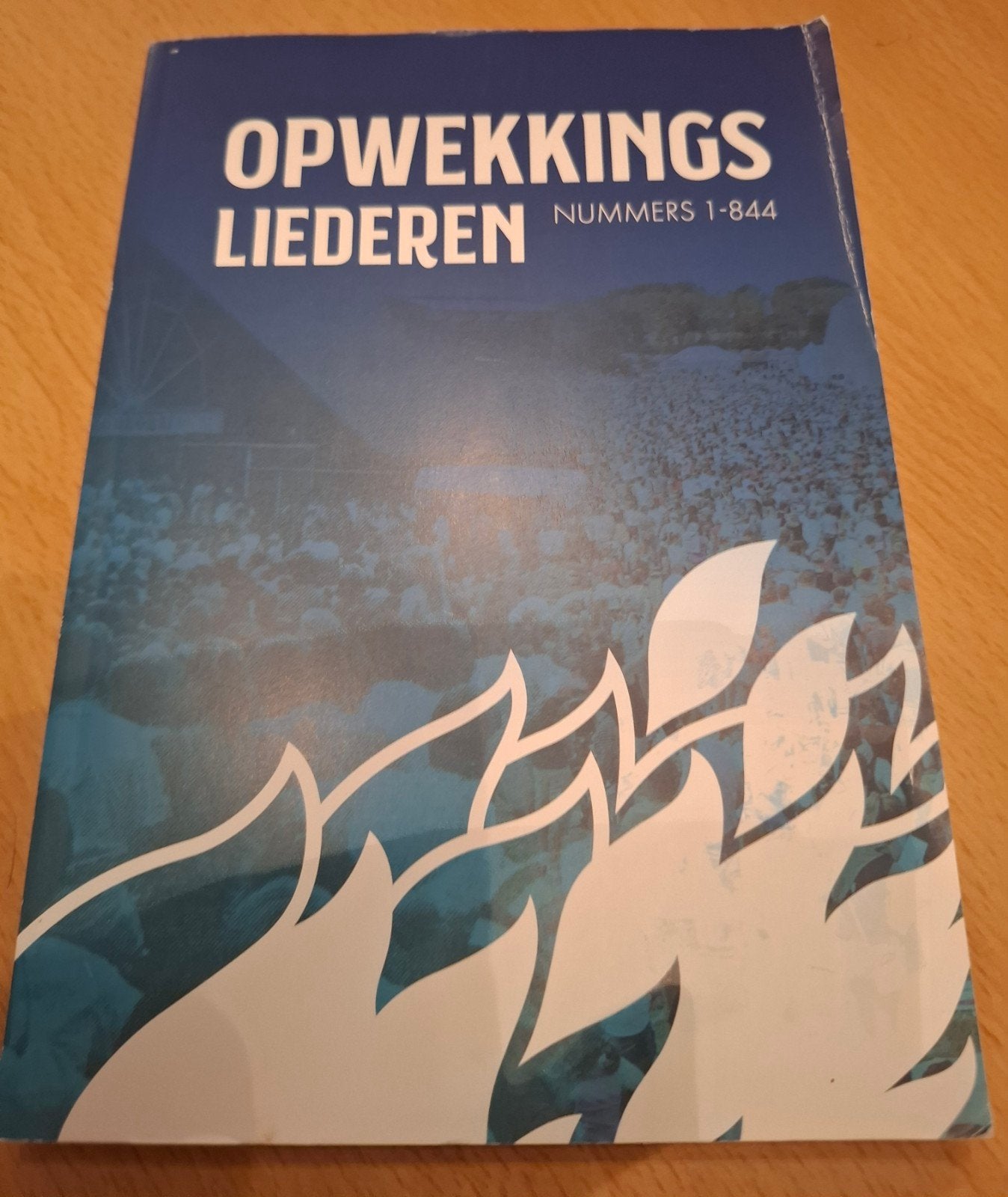 Diverse bijbels en boekje met Opwekkingsliederen., Boeken, Ophalen, Gelezen, Christendom | Katholiek