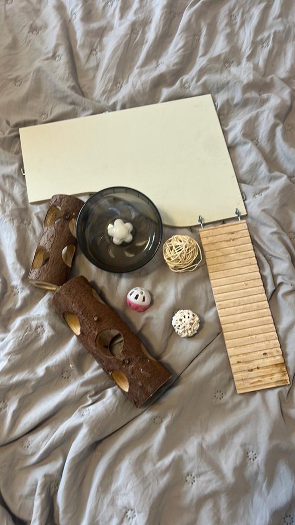 Hamster spullen!, Ophalen, 5 cm of meer, Echt leder, Heupriem