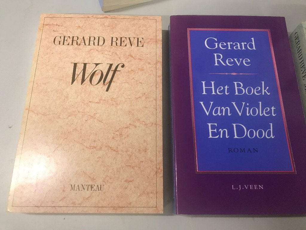 T.K. nog 3 boeken van Gerard Reve Zie actuele lijst, Ophalen of Verzenden, Gelezen, Gerard Reve, Nederland