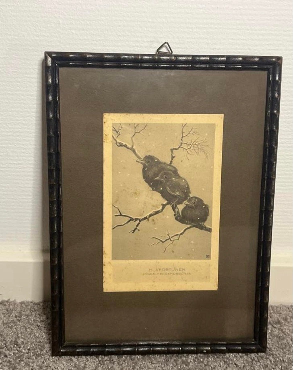 Antieke Prent H. Verstijnen: Jonge Heggemusschen in Sneeuw, Ophalen of Verzenden, Print, Prent, Ingelijst