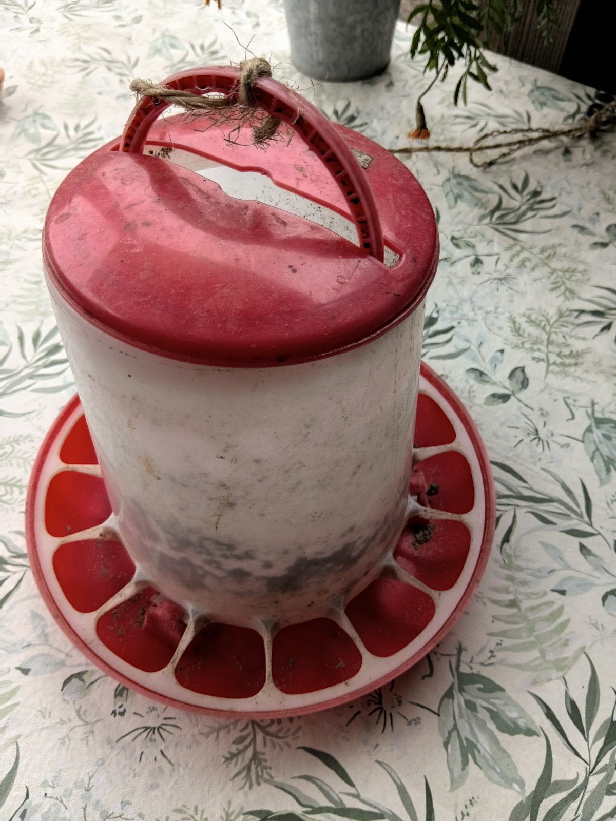 Voerbak voor kippen, Ophalen of Verzenden, Drinken en Voederen