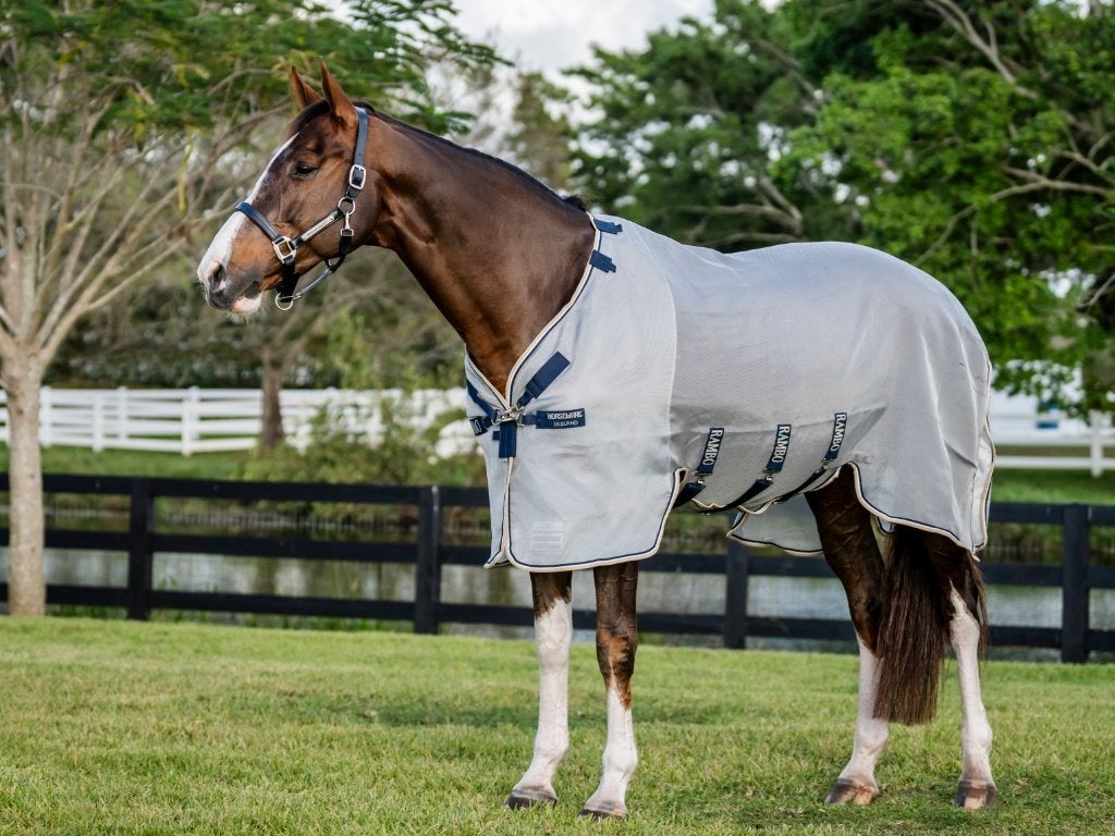 Rambo Protector Vliegendeken 168, 175, 183, 191, 198,206,213, Dieren en Toebehoren, Paarden en Pony's | Dekens en Dekjes, Vliegendeken