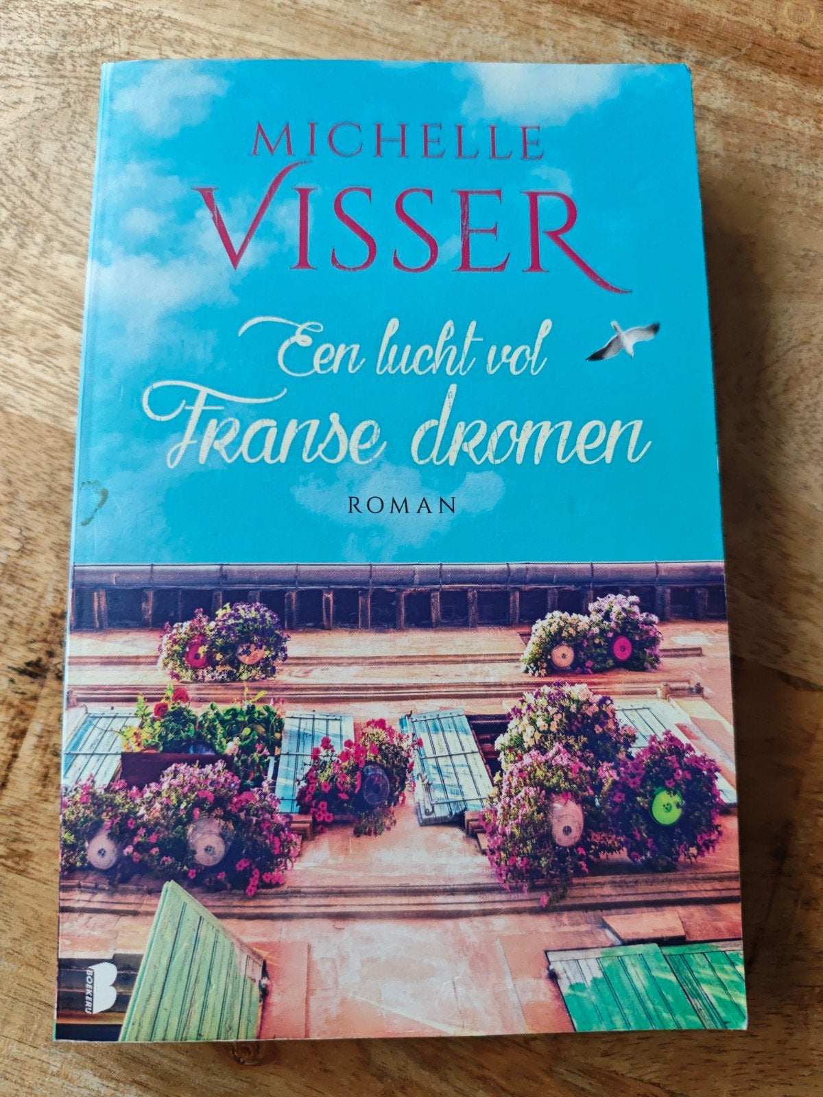 Een lucht vol Franse dromen - Michelle Visser, Boeken, Ophalen of Verzenden, Gelezen, Michelle Visser, Nederland