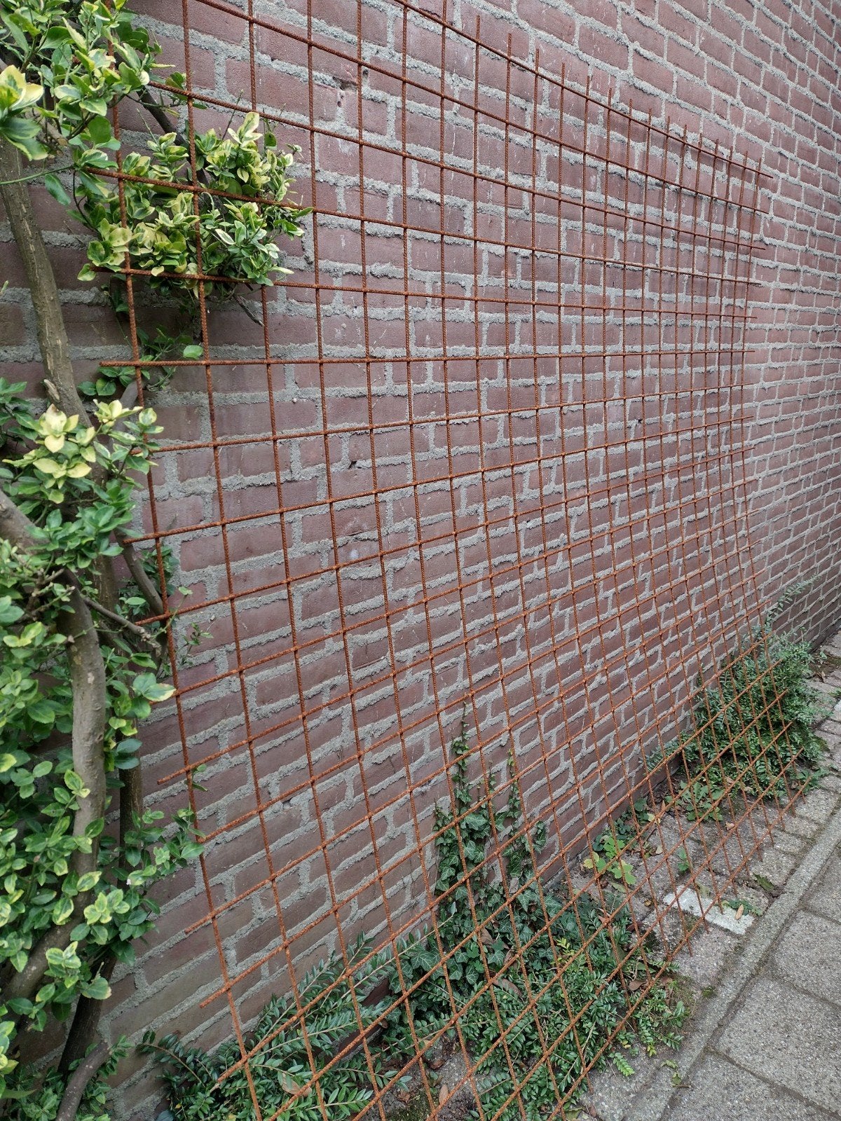 roest betonijzer mat paneel 193 x 220 cm / maas 10 x 10 cm, Ophalen, Zo goed als nieuw, Minder dan 10 meter, Raster
