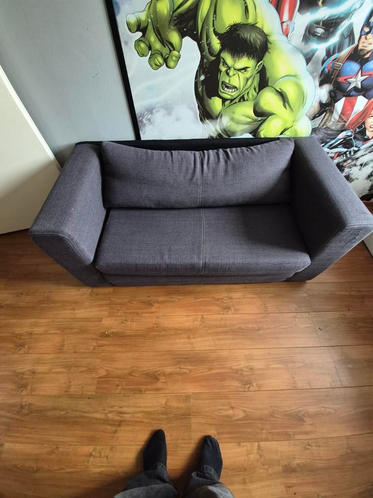 Comfortabele grijze tweepersoons slaapbank, Ophalen of Verzenden