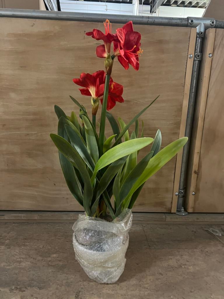 Kunstplant Amaryllis, Ophalen of Verzenden, Nieuw, Binnen
