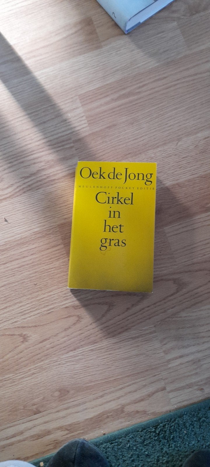 Cirkel in het gras - Oek de Jong (Meulenhoff Pocket Editie), Boeken, Ophalen, Gelezen, Oek de Jong, Nederland