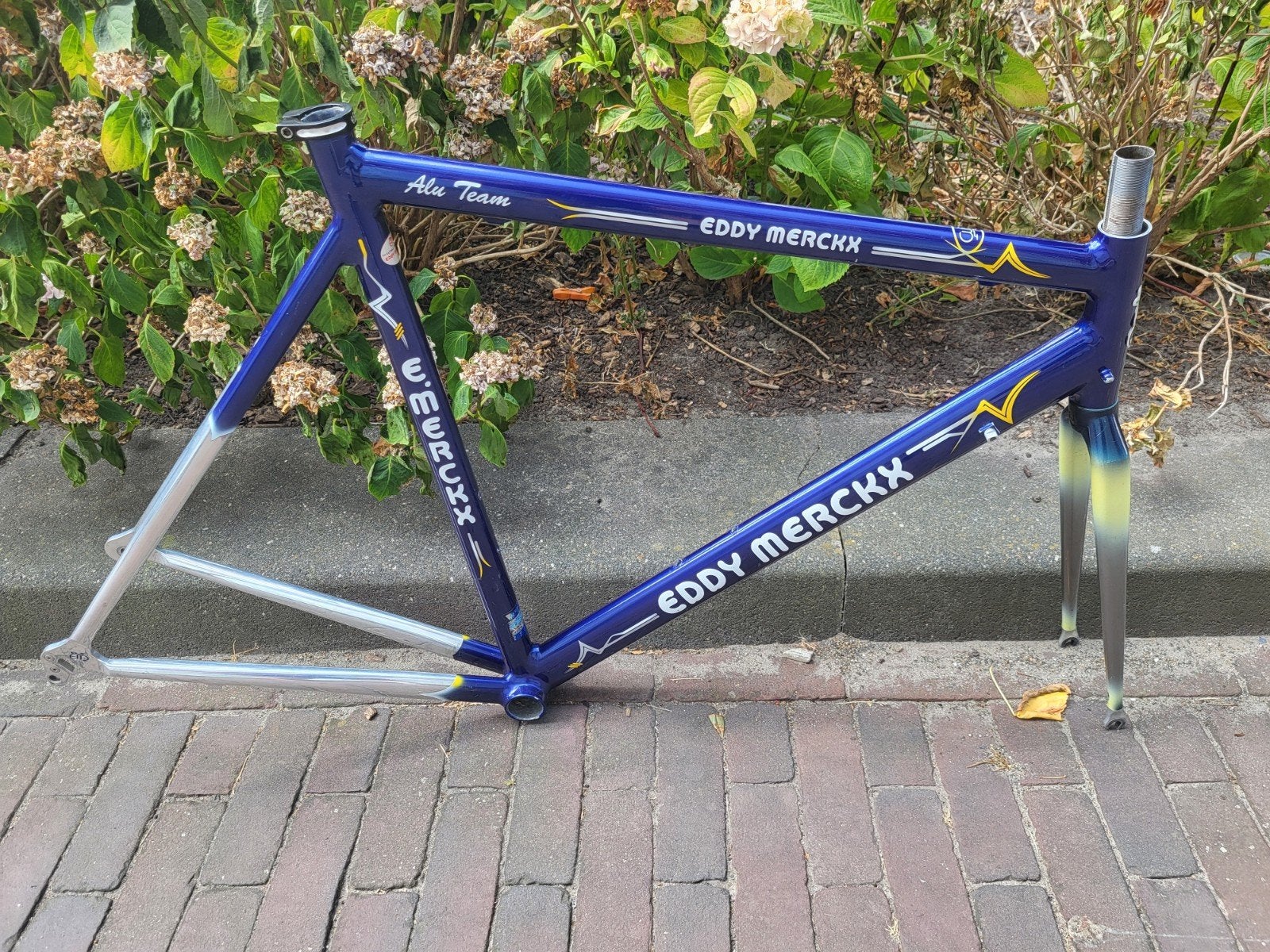 Eddy Merckx frame / Time 1 inch voorvork carbon, Fietsen en Brommers, Em, Frame, Gebruikt, Ophalen of Verzenden