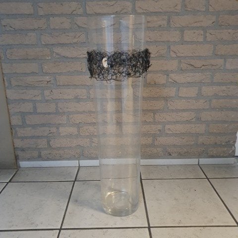 Vaas glas 70 cm, Huis en Inrichting, Woonaccessoires | Vazen, Ophalen, Transparant, Nieuw, Glas