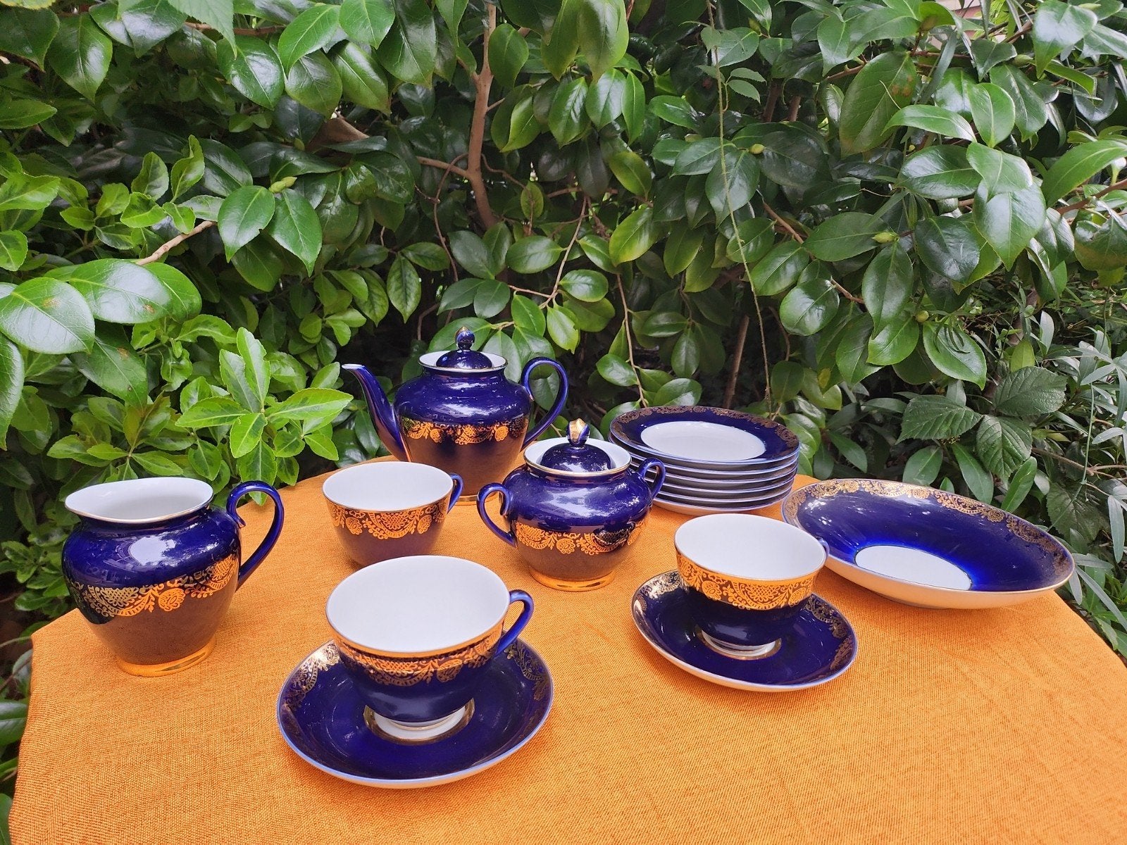 Lomonosov Vintage Servies, Ophalen of Verzenden