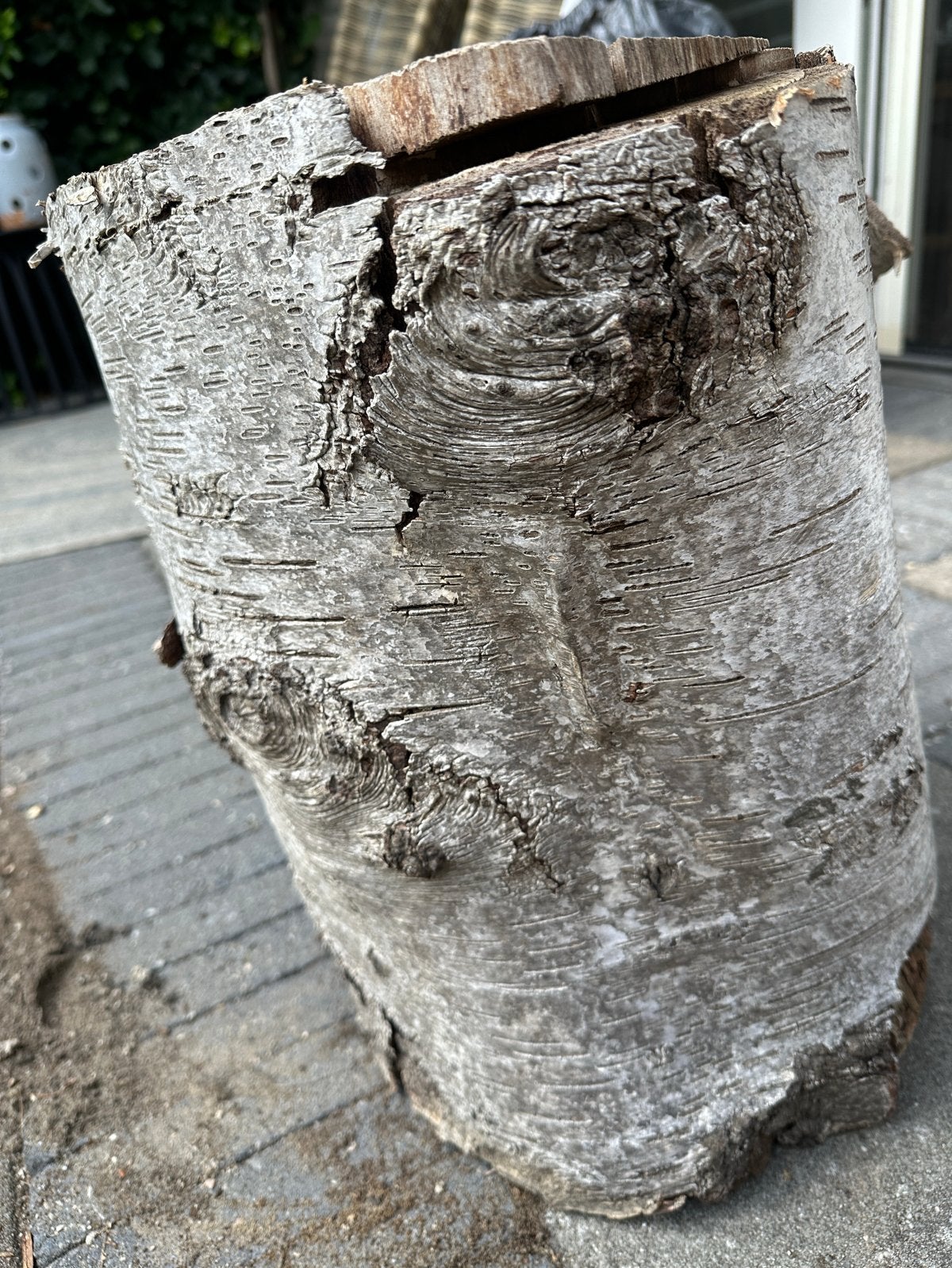 GRATIS Berken boomstronk - 45 cm hoog, 30 cm diameter, Tuin en Terras, Haardhout, Minder dan 3 m³, Ophalen, Berkenhout, Stammen