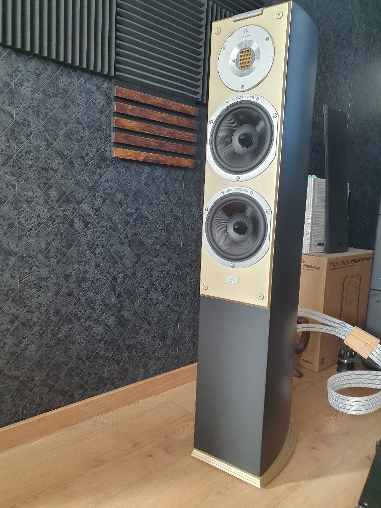 Audiovector SI3 Avantgarde Arrete, Audio, Tv en Foto, Stereo speakers, Zo goed als nieuw, Ophalen, 150 watt of meer