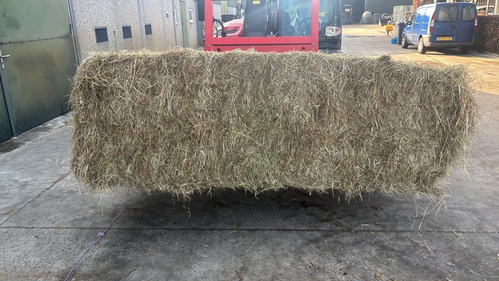Grote pakken hooi 560 kg 125 €, Dieren en Toebehoren, Dierenvoeding, Ophalen of Verzenden, Vee