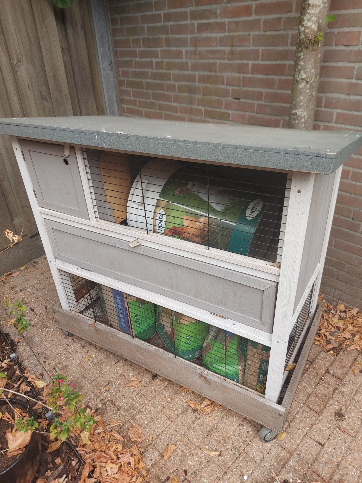 konijnen of cavia verblijf, Ophalen, Kooi, 90 cm of meer, Konijn