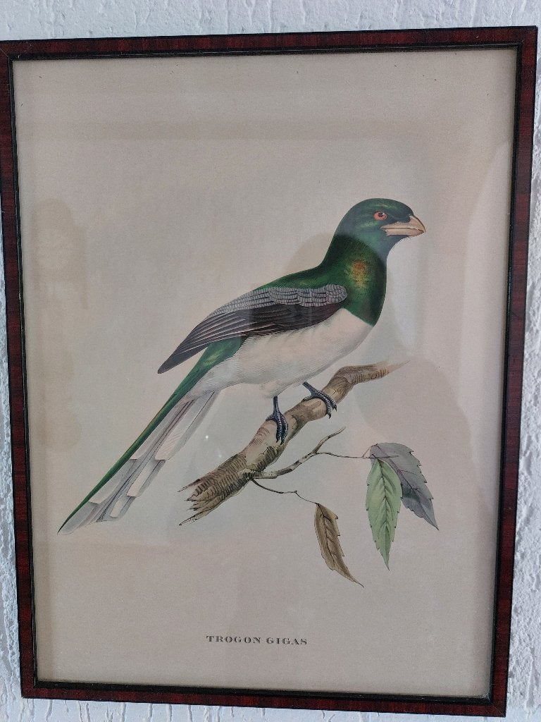 Diverse schilderijtjes, Ophalen, Ingelijst, Bloemen