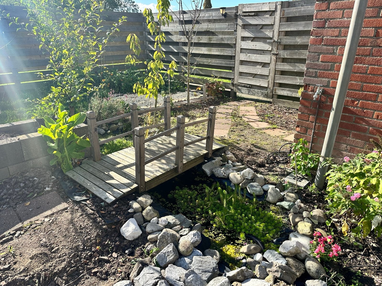 Decoratieve houten brug voor tuin of vijver, Ophalen, Gebruikt