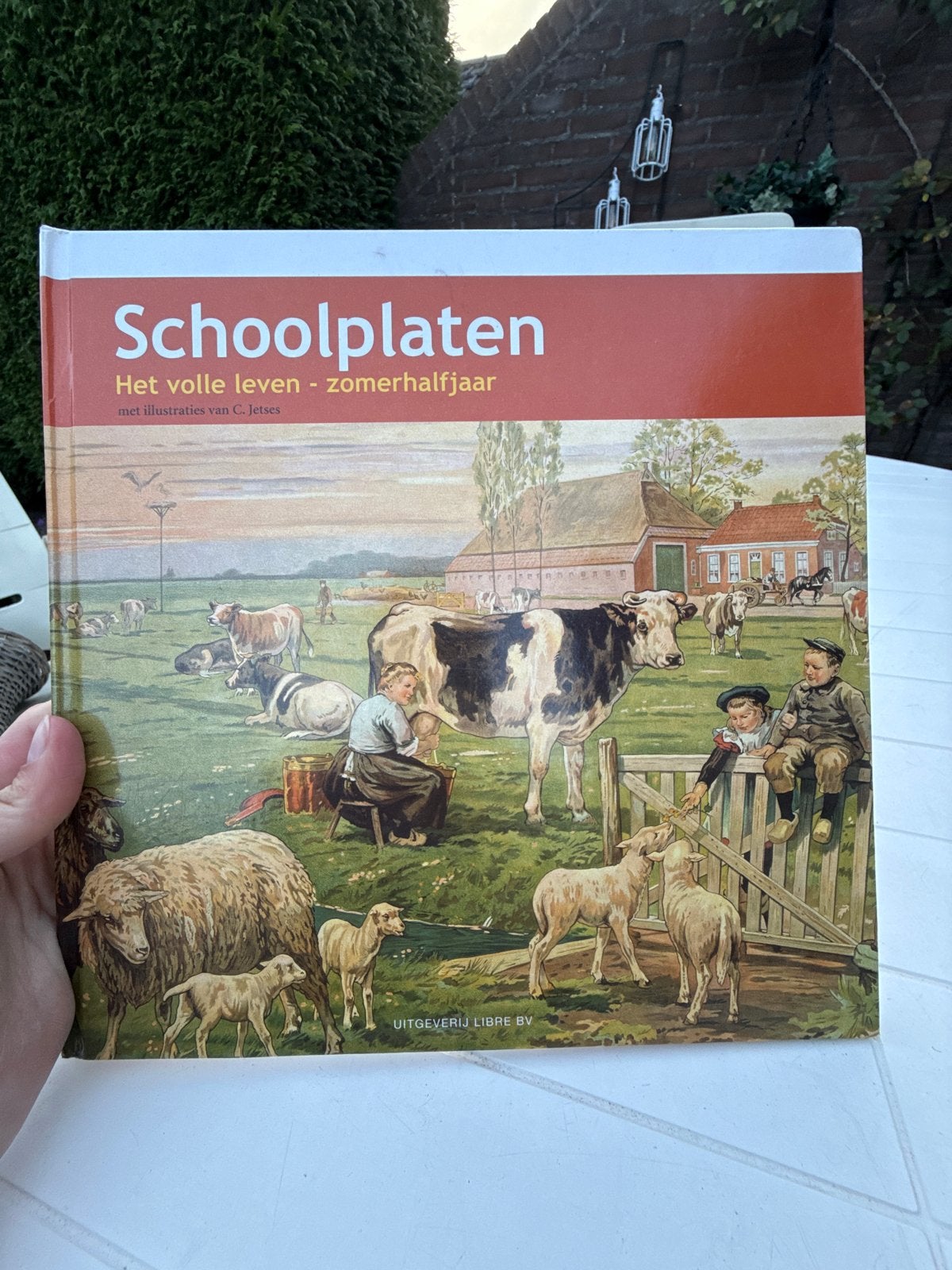 Schoolplaten: Het volle leven - zomerhalfjaar, Ophalen of Verzenden, Overige thema's