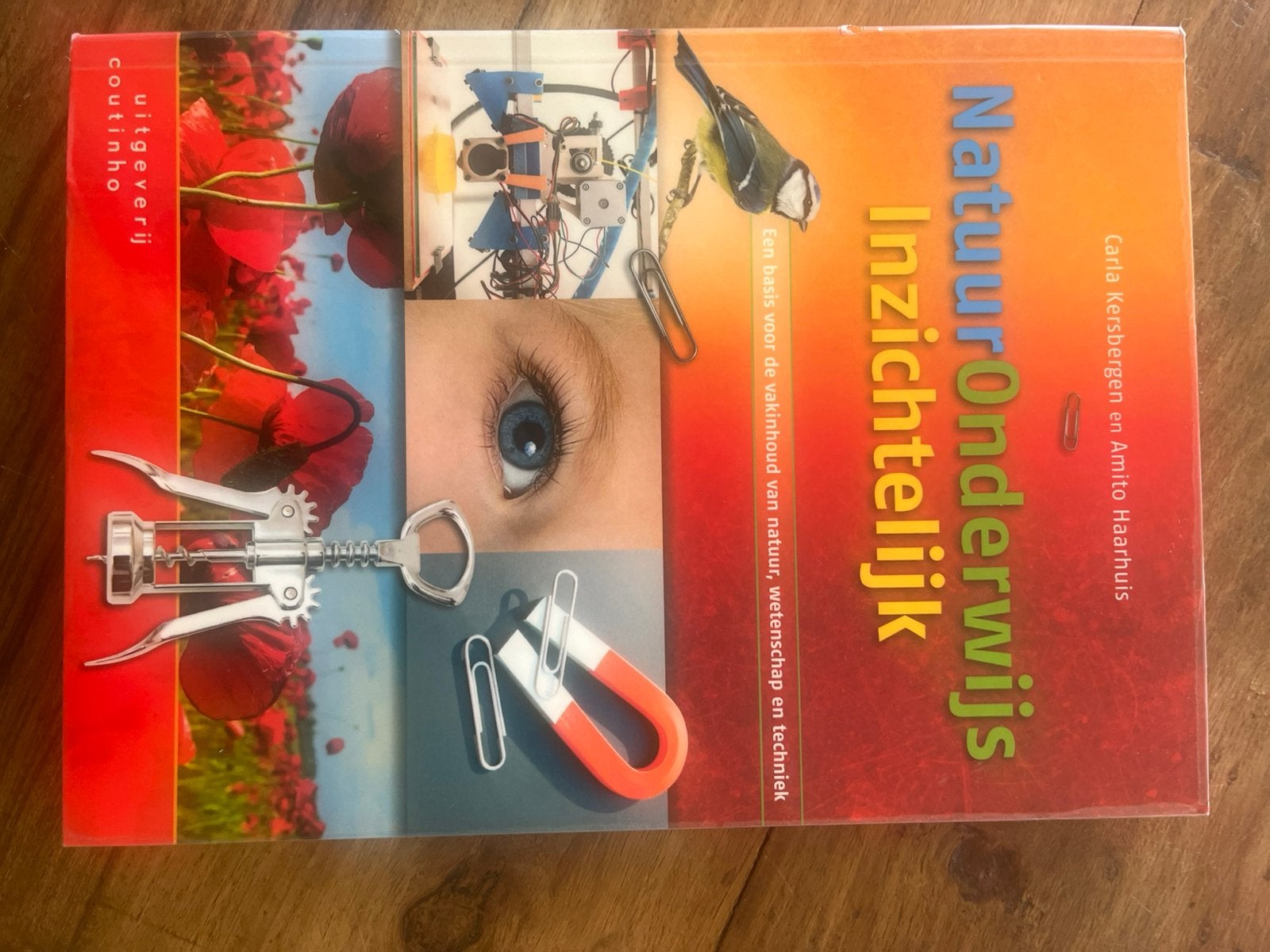 Pabo eerste jaars boeken, Boeken, Ophalen of Verzenden, Zo goed als nieuw, Overige niveaus