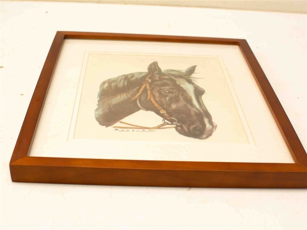 Prent van een Paardenhoofd 3807, Ophalen of Verzenden, Voor 1920, Ongelopen, Vogel