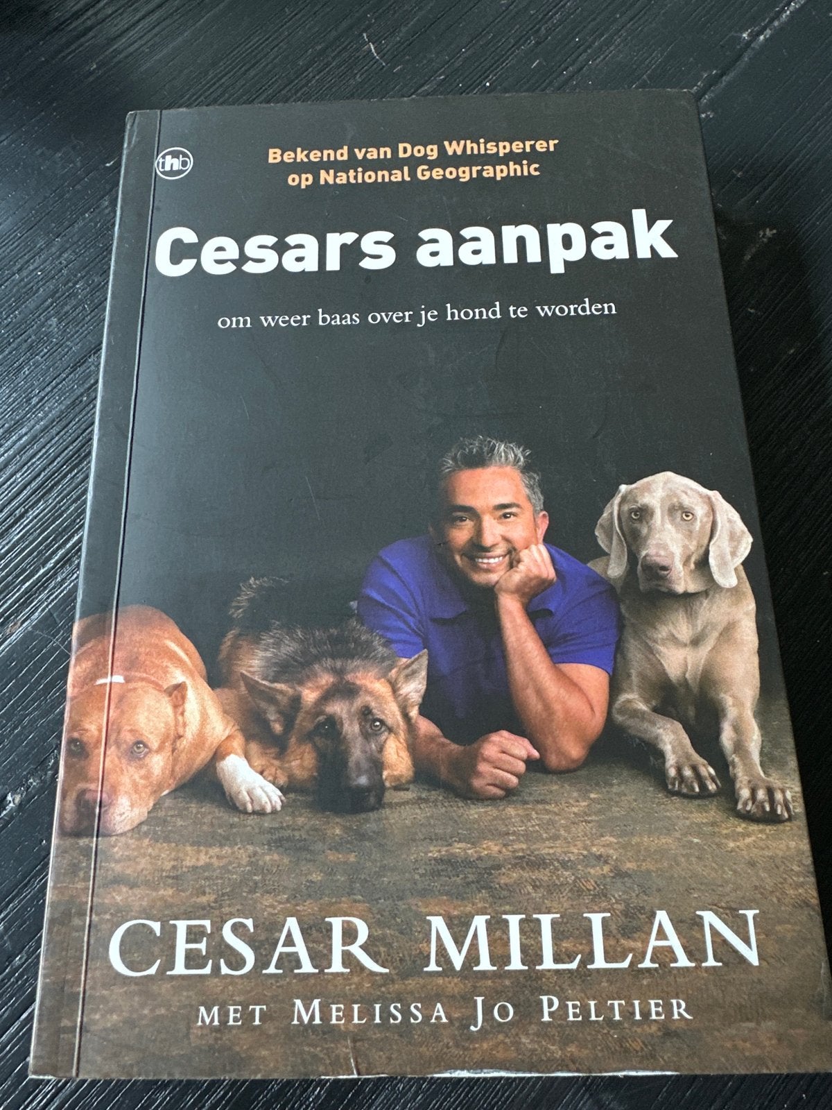 Cesars aanpak: Word weer baas over je hond - Cesar Millan, Boeken, Dieren en Huisdieren, Ophalen of Verzenden, Gelezen, Honden