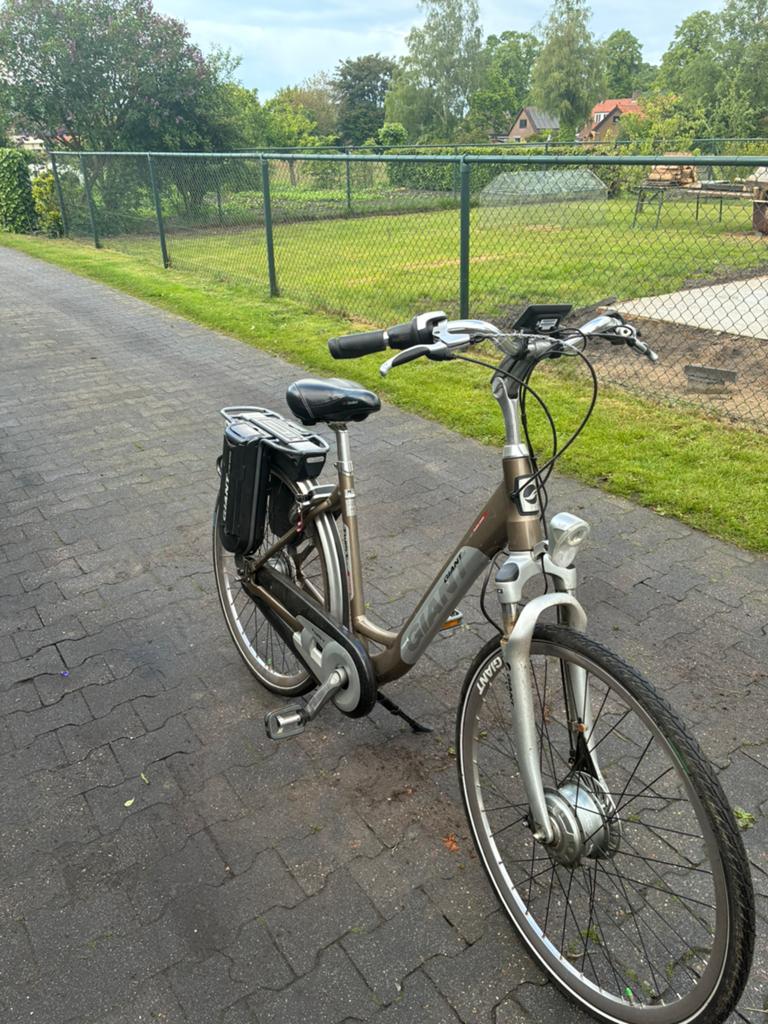 Elektrische fiets te koop Giant Twist Go Double Power, Ophalen, Gebruikt, Giant