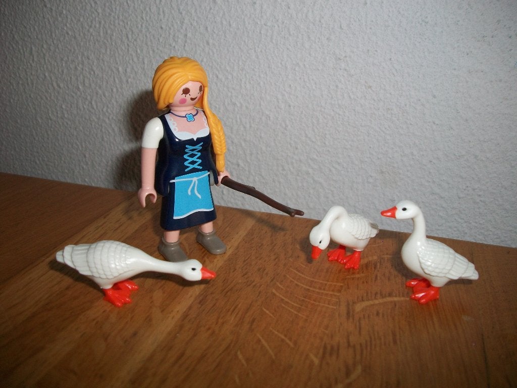 Ganzenhoedster, Ophalen of Verzenden, Nieuw, Complete set