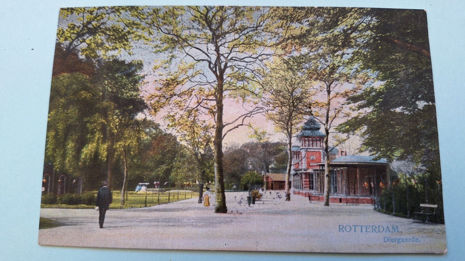 Rotterdam, Diergaarde Blijdorp, Ophalen of Verzenden, Voor 1920, Zuid-Holland