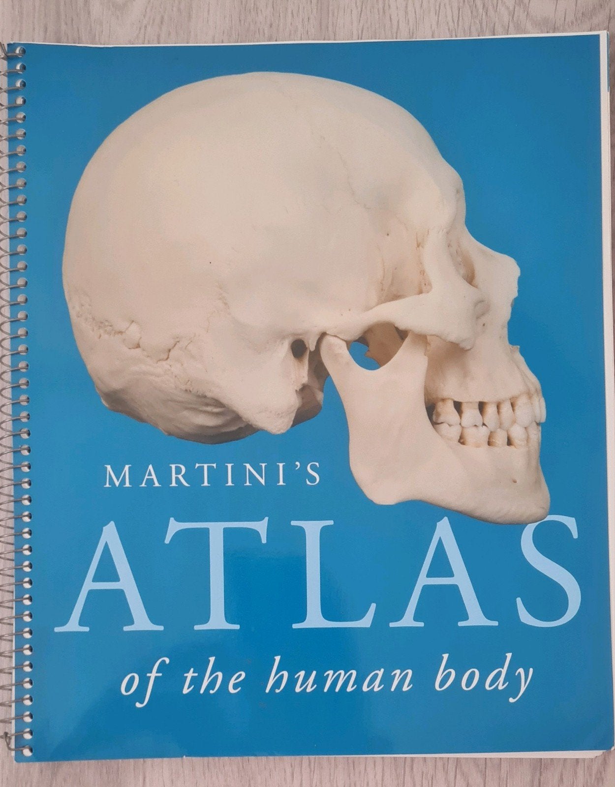 Martini's Atlas of the Human Body - Anatomie Atlas, Boeken, Studieboeken en Cursussen, Frederic H. Martini, Zo goed als nieuw
